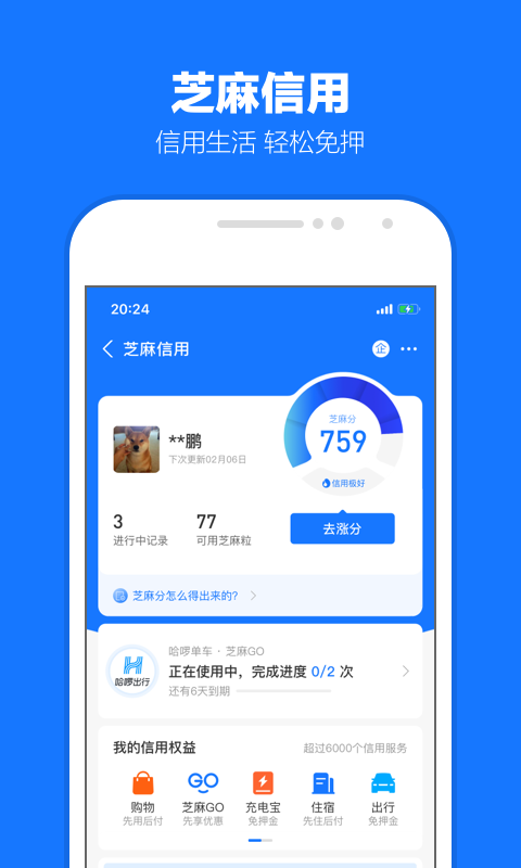 foot chart截图